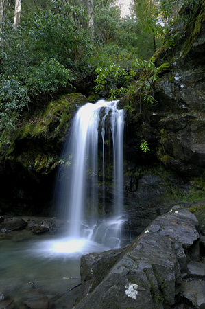 Grotto Falls 2006